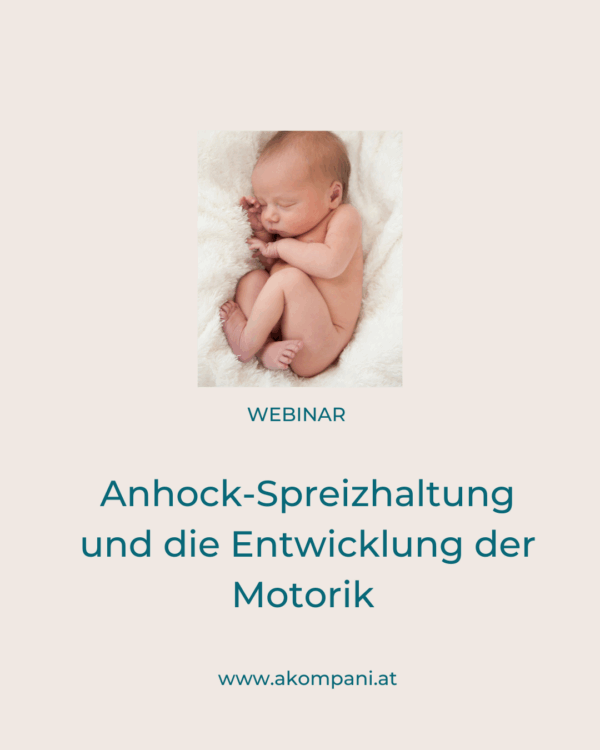 Webinar: Anhock-Spreizhaltung und die Entwicklung der Motorik